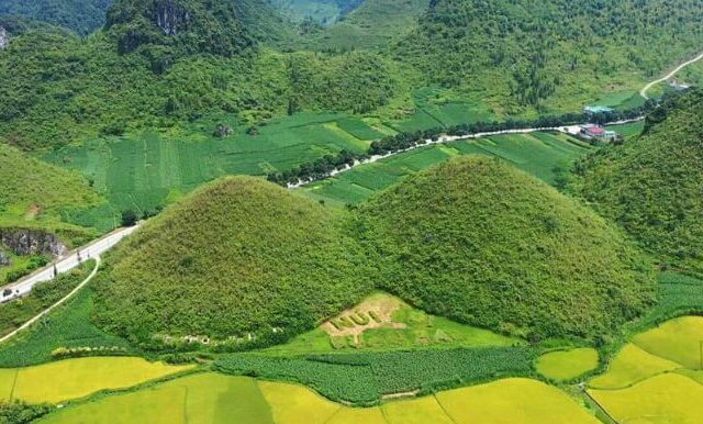 Cầu chì hạ thế OEZ